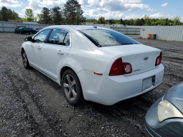 Photo 2 VIN: 1G1ZC5E17BF100991 - CHEVROLET MALIBU 1LT 