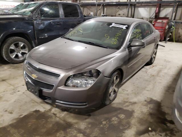 Photo 1 VIN: 1G1ZC5E17BF103390 - CHEVROLET MALIBU 1LT 