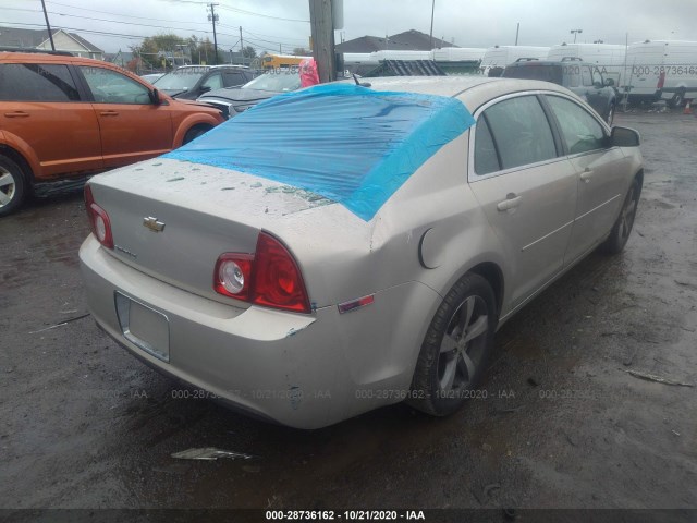 Photo 3 VIN: 1G1ZC5E17BF109156 - CHEVROLET MALIBU 