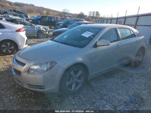 Photo 1 VIN: 1G1ZC5E17BF187131 - CHEVROLET MALIBU 