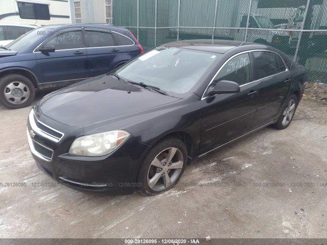 Photo 1 VIN: 1G1ZC5E17BF213307 - CHEVROLET MALIBU 