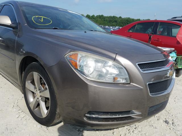 Photo 8 VIN: 1G1ZC5E17BF225778 - CHEVROLET MALIBU 1LT 