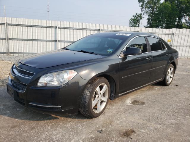 Photo 1 VIN: 1G1ZC5E17BF271188 - CHEVROLET MALIBU 1LT 