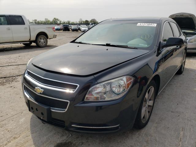 Photo 1 VIN: 1G1ZC5E17BF333009 - CHEVROLET MALIBU 1LT 