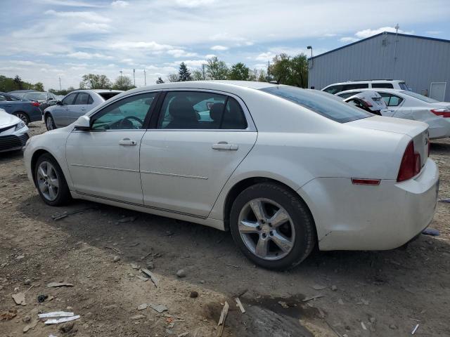 Photo 1 VIN: 1G1ZC5E18BF285911 - CHEVROLET MALIBU 