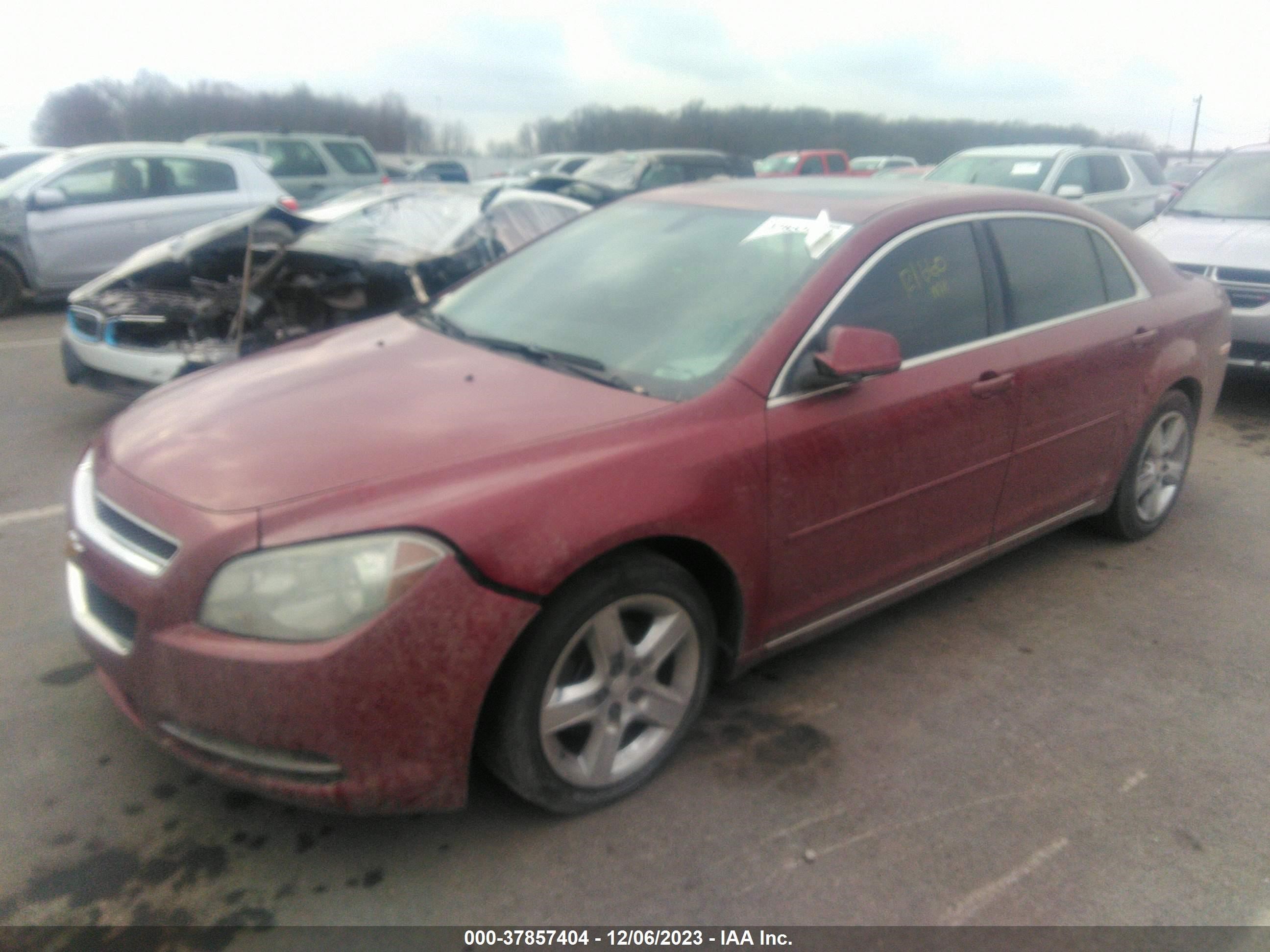 Photo 1 VIN: 1G1ZC5E18BF333309 - CHEVROLET MALIBU 