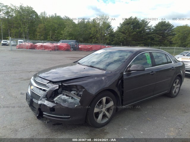 Photo 1 VIN: 1G1ZC5E18BF334539 - CHEVROLET MALIBU 