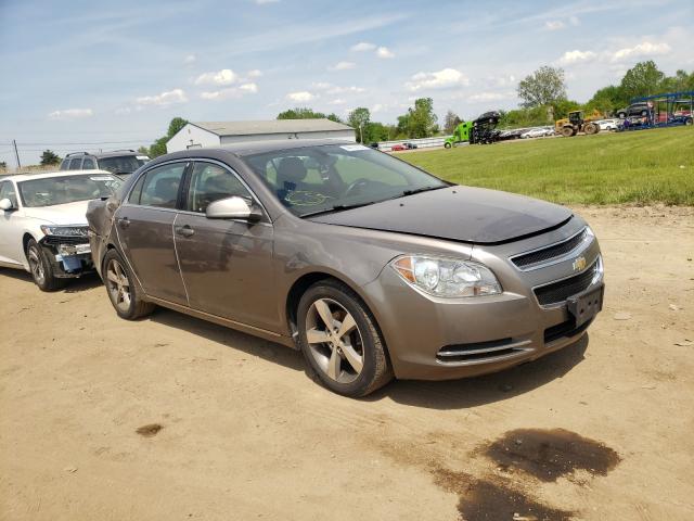 Photo 0 VIN: 1G1ZC5E18BF397656 - CHEVROLET MALIBU 1LT 