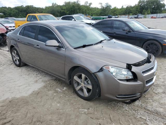 Photo 3 VIN: 1G1ZC5E19BF104198 - CHEVROLET MALIBU 