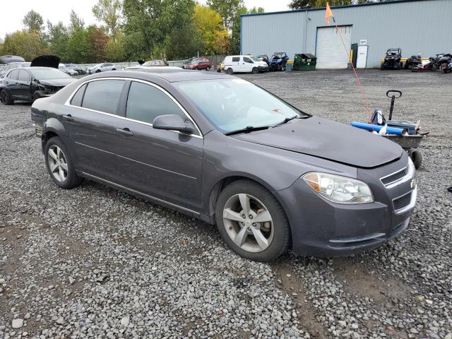 Photo 3 VIN: 1G1ZC5E19BF300691 - CHEVROLET MALIBU 1LT 