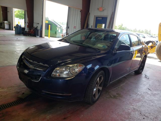 Photo 1 VIN: 1G1ZC5E19BF325073 - CHEVROLET MALIBU 1LT 