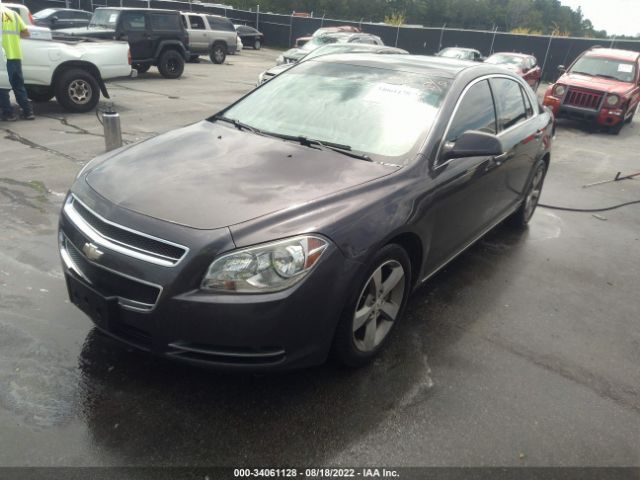 Photo 1 VIN: 1G1ZC5E19BF325946 - CHEVROLET MALIBU 