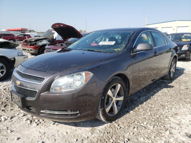 Photo 1 VIN: 1G1ZC5E19BF326045 - CHEVROLET MALIBU 1LT 