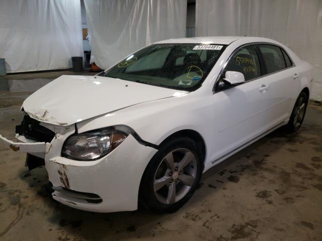 Photo 1 VIN: 1G1ZC5E19BF352466 - CHEVROLET MALIBU 1LT 