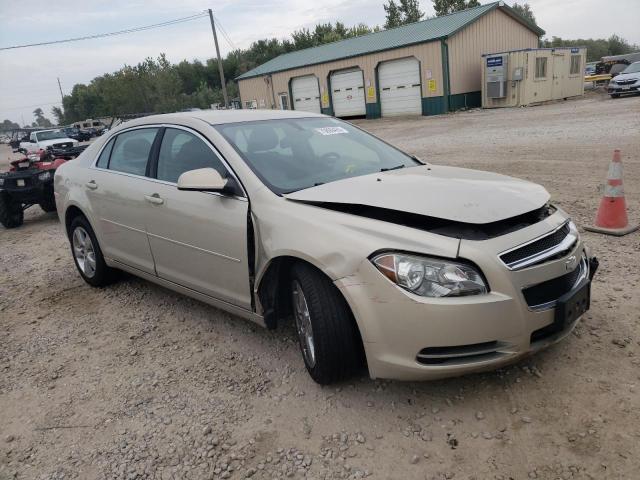 Photo 3 VIN: 1G1ZC5E19BF358171 - CHEVROLET MALIBU 