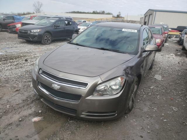 Photo 1 VIN: 1G1ZC5E19BF358994 - CHEVROLET MALIBU 1LT 