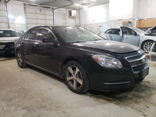 Photo 3 VIN: 1G1ZC5E1XBF116943 - CHEVROLET MALIBU 1LT 