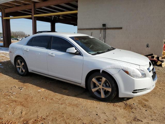 Photo 3 VIN: 1G1ZC5E1XBF117672 - CHEVROLET MALIBU 1LT 