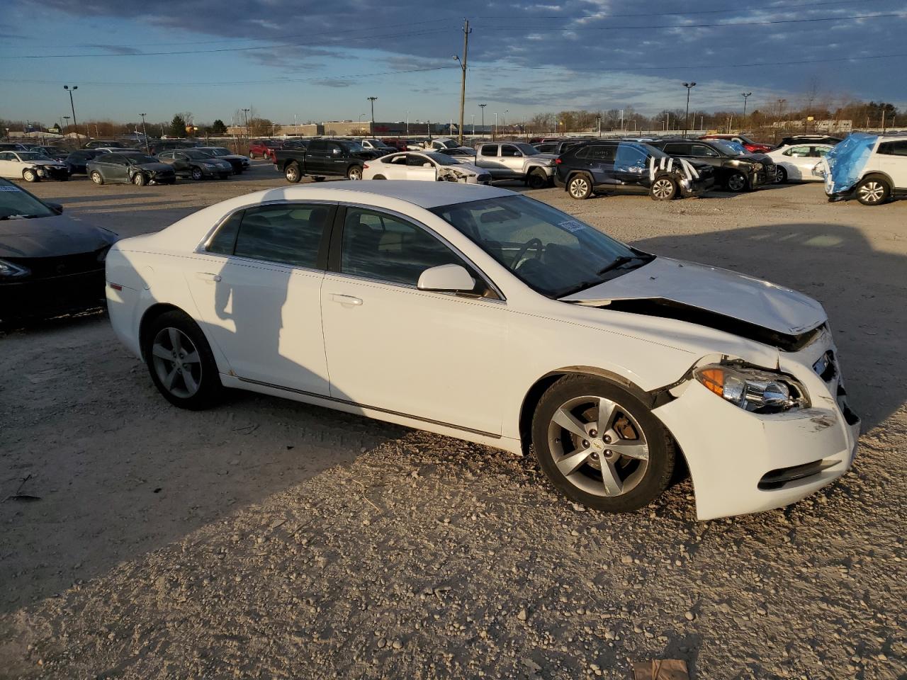 Photo 3 VIN: 1G1ZC5E1XBF120748 - CHEVROLET MALIBU 