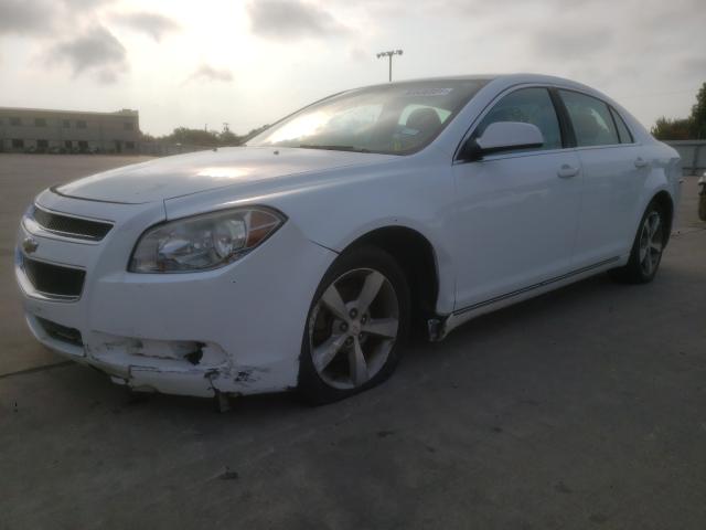 Photo 1 VIN: 1G1ZC5E1XBF143656 - CHEVROLET MALIBU 1LT 