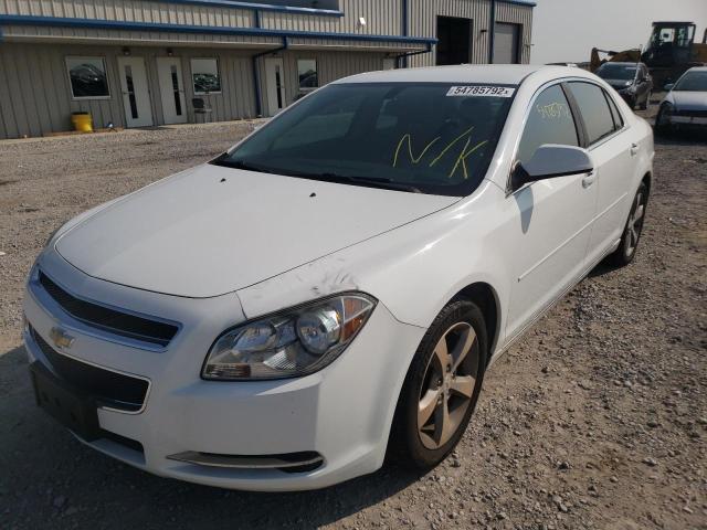 Photo 1 VIN: 1G1ZC5E1XBF152048 - CHEVROLET MALIBU 1LT 