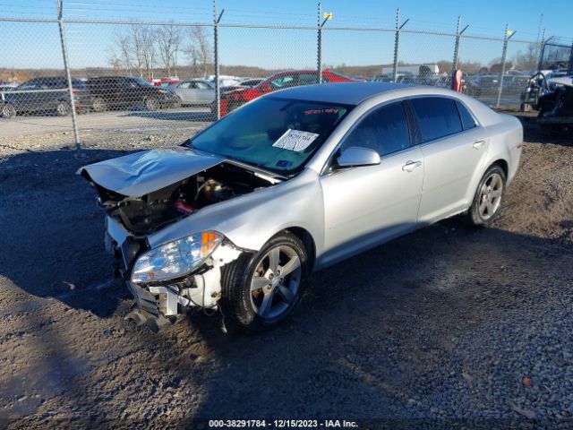 Photo 1 VIN: 1G1ZC5E1XBF204584 - CHEVROLET MALIBU 