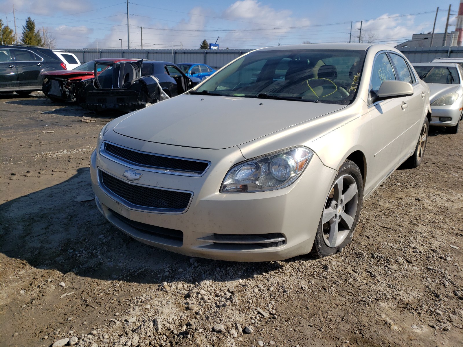 Photo 1 VIN: 1G1ZC5E1XBF207288 - CHEVROLET MALIBU 1LT 