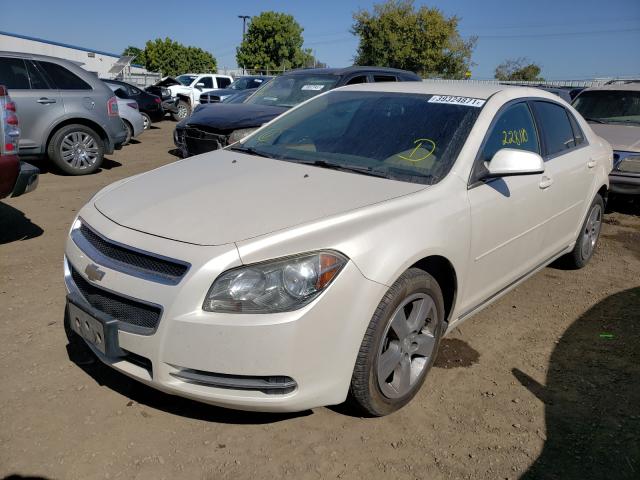 Photo 1 VIN: 1G1ZC5E1XBF236208 - CHEVROLET MALIBU 1LT 