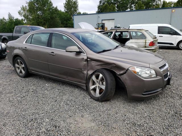 Photo 3 VIN: 1G1ZC5E1XBF250318 - CHEVROLET MALIBU 1LT 