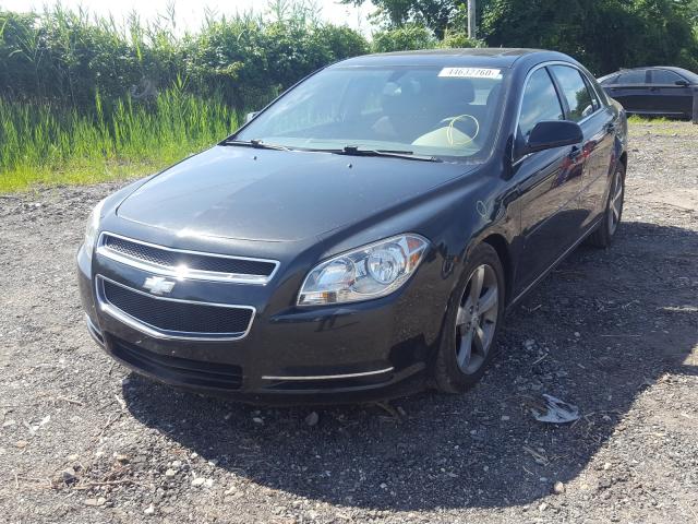 Photo 1 VIN: 1G1ZC5E1XBF259889 - CHEVROLET MALIBU 1LT 