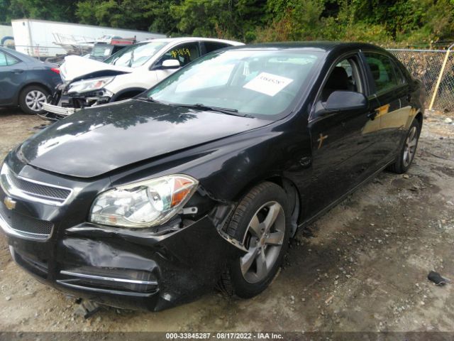 Photo 1 VIN: 1G1ZC5E1XBF291466 - CHEVROLET MALIBU 