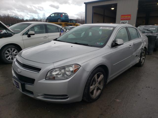 Photo 1 VIN: 1G1ZC5E1XBF295906 - CHEVROLET MALIBU 1LT 