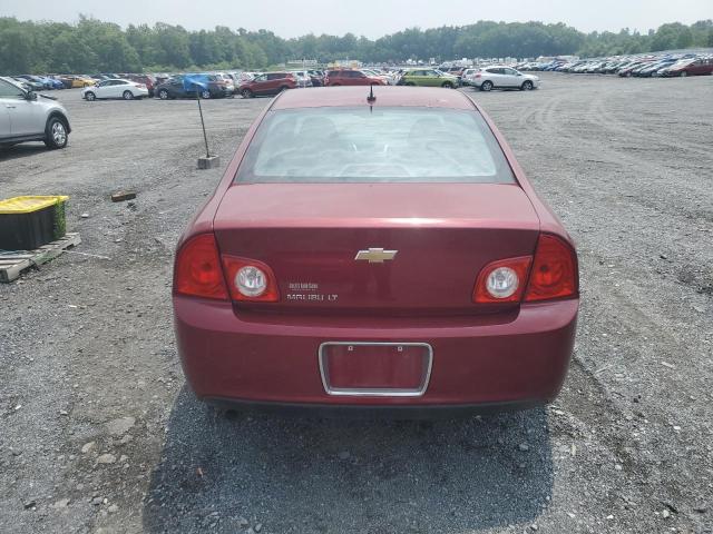 Photo 5 VIN: 1G1ZC5E1XBF299597 - CHEVROLET MALIBU 1LT 