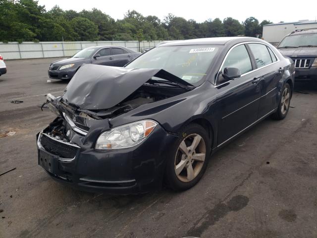 Photo 1 VIN: 1G1ZC5E1XBF318875 - CHEVROLET MALIBU 1LT 