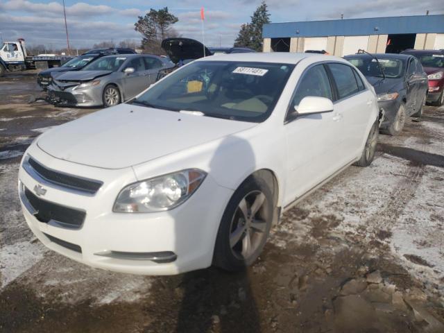 Photo 1 VIN: 1G1ZC5E1XBF320609 - CHEVROLET MALIBU 1LT 