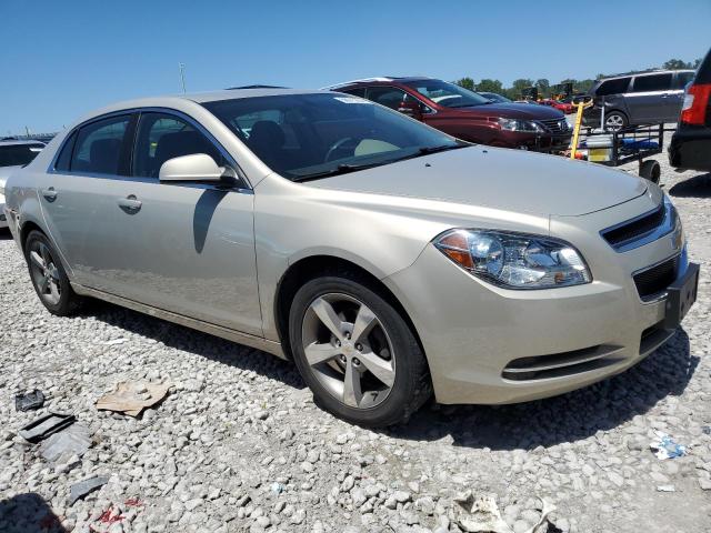 Photo 3 VIN: 1G1ZC5E1XBF330220 - CHEVROLET MALIBU 