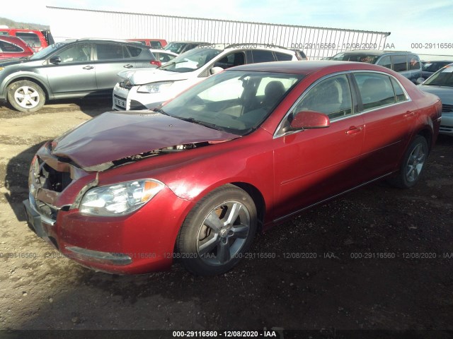 Photo 1 VIN: 1G1ZC5E1XBF333540 - CHEVROLET MALIBU 