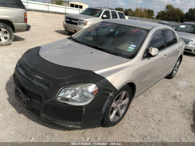 Photo 1 VIN: 1G1ZC5E1XBF344943 - CHEVROLET MALIBU 