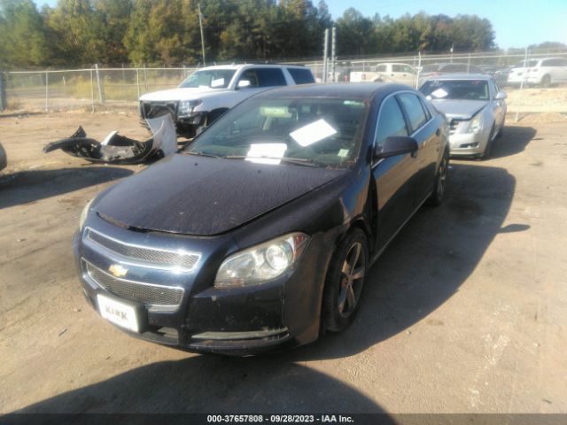 Photo 1 VIN: 1G1ZC5E1XBF345297 - CHEVROLET MALIBU 