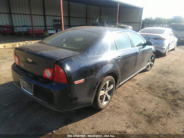 Photo 3 VIN: 1G1ZC5E1XBF345297 - CHEVROLET MALIBU 