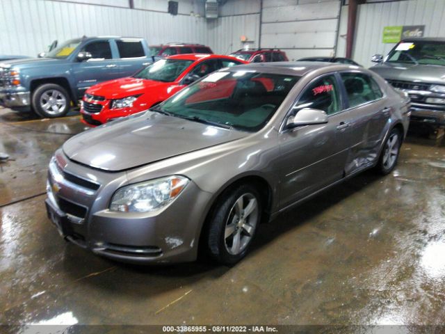 Photo 1 VIN: 1G1ZC5E1XBF355523 - CHEVROLET MALIBU 