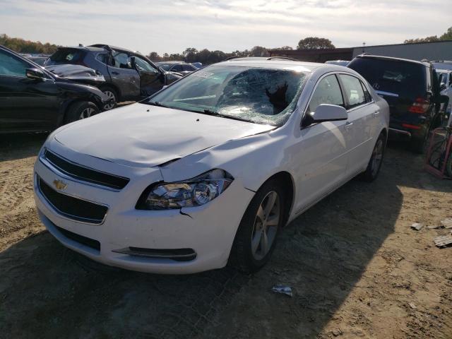 Photo 1 VIN: 1G1ZC5E1XBF377313 - CHEVROLET MALIBU 1LT 