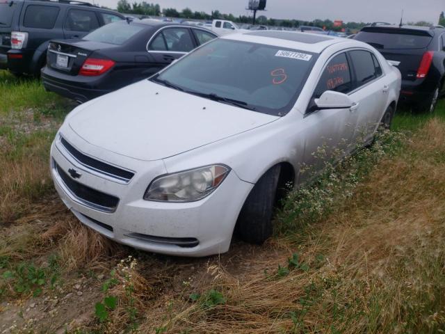 Photo 1 VIN: 1G1ZC5EB1AF145559 - CHEVROLET MALIBU 1LT 