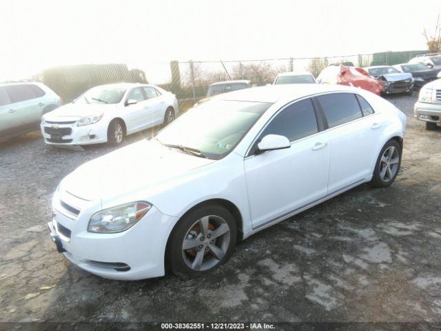 Photo 1 VIN: 1G1ZC5EB1AF152592 - CHEVROLET MALIBU 