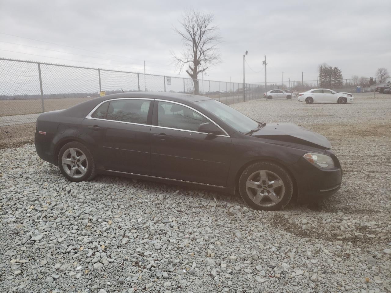 Photo 3 VIN: 1G1ZC5EB1AF268519 - CHEVROLET MALIBU 