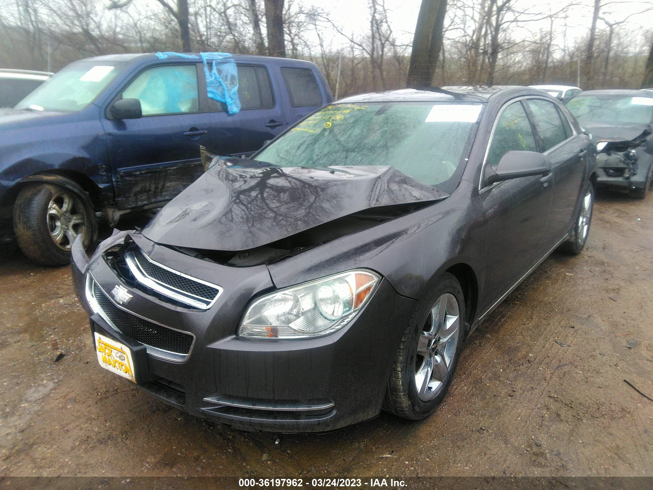 Photo 1 VIN: 1G1ZC5EB4AF241427 - CHEVROLET MALIBU 