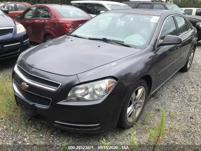 Photo 1 VIN: 1G1ZC5EB5A4131689 - CHEVROLET MALIBU 