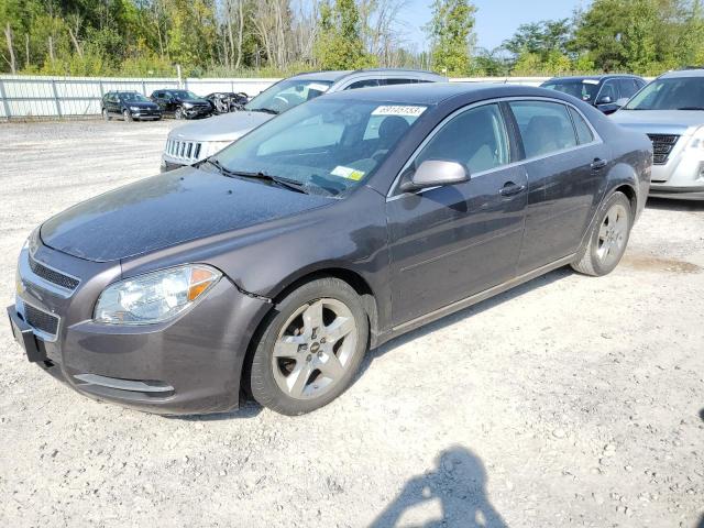 Photo 0 VIN: 1G1ZC5EB7AF231801 - CHEVROLET MALIBU 