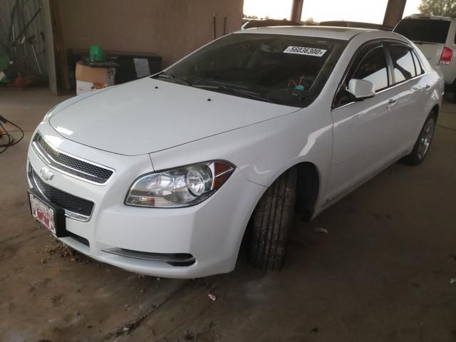 Photo 1 VIN: 1G1ZC5EB8A4117527 - CHEVROLET MALIBU 1LT 