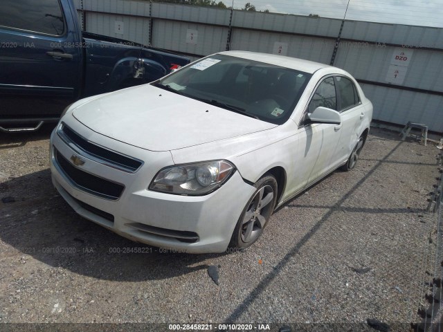 Photo 1 VIN: 1G1ZC5EU0BF349952 - CHEVROLET MALIBU 